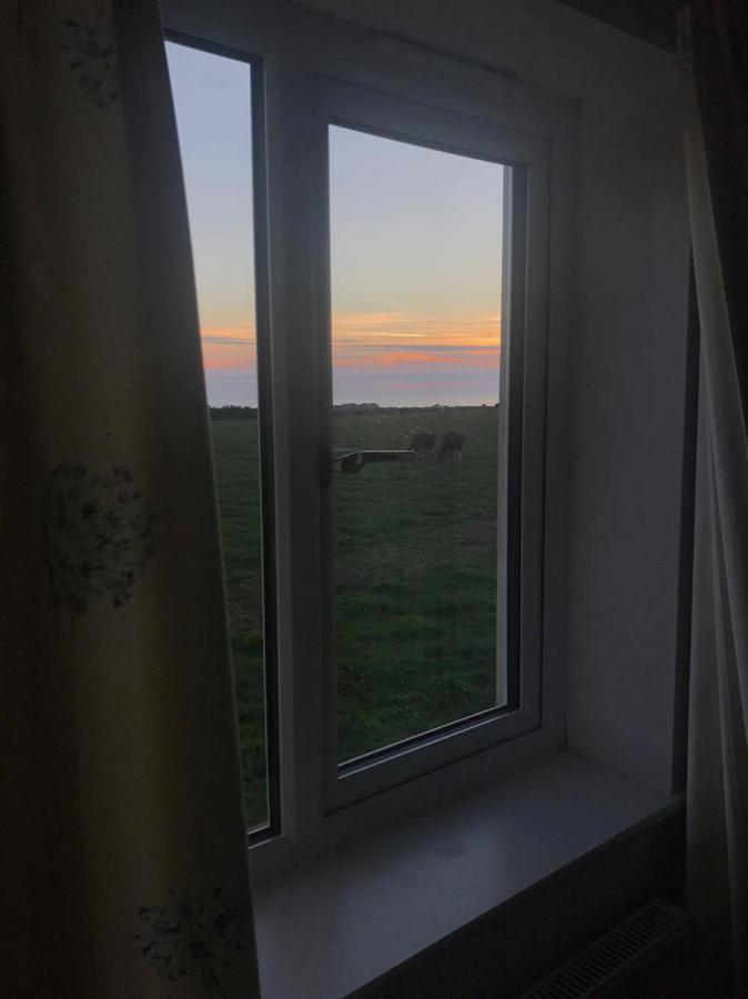 Family Run Farm B&B Gooseham Extérieur photo